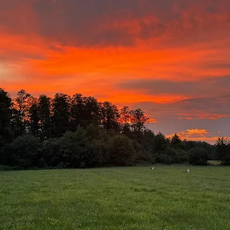 Siedlisko 64 ヴィラ *