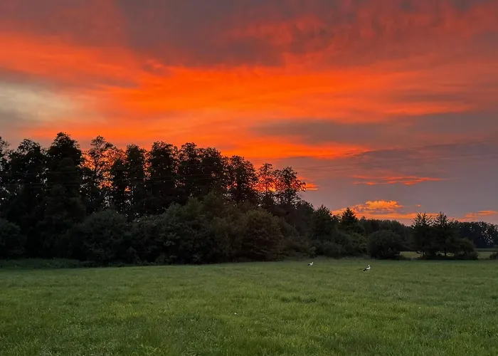 Siedlisko 64 ヴィラ *